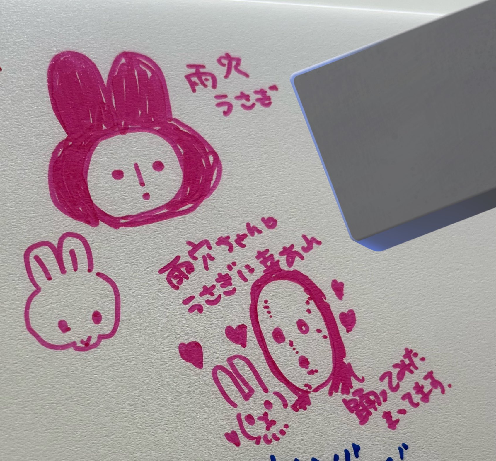 ななおねこた on X: 