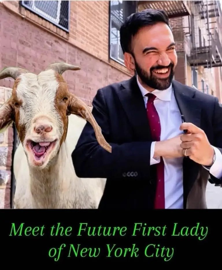 The brutal American. The/She/It (@fjbhammerban) on Twitter photo 