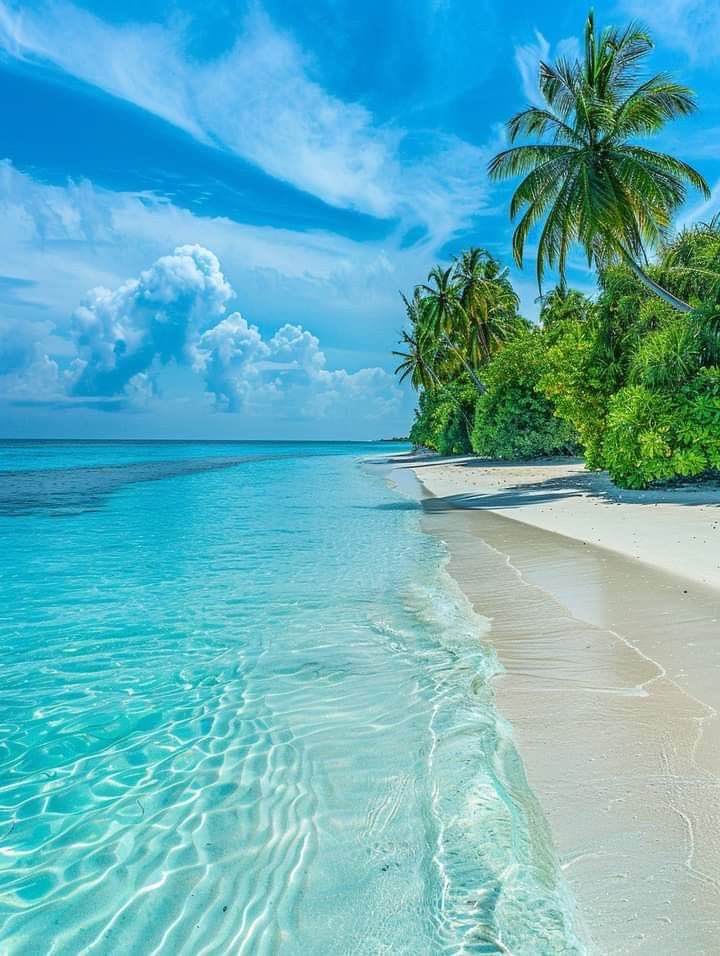 Mysterious Earth (@naturalble91542) on Twitter photo 