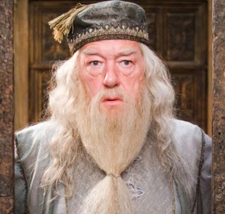 Gamerman_0's tweet image. Happy 85th Birthday to Michael Gambon and Rest in Peace 
#HarryPotter #albusdumbledore #HogwartsLegacy #PrisonerofAzakban #GobletofFire #OrderofthePhoenix #HalfBloodPrince #DeathlyHallowsPart1 #DeathlyHallowsPart2 #WizardingWorld