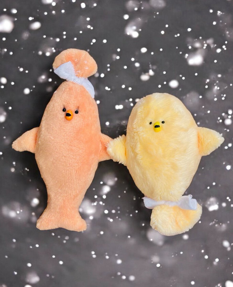 オスのもちきんちゃくと
メスのもちきんちゃく