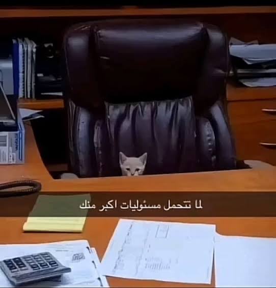 التشيف رزدنت في الخدمة 😎🫡