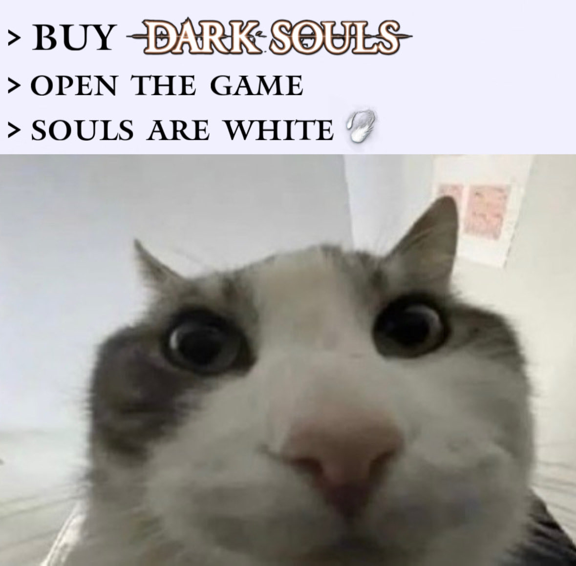 chosen undead (@chosenundeadone) on Twitter photo 