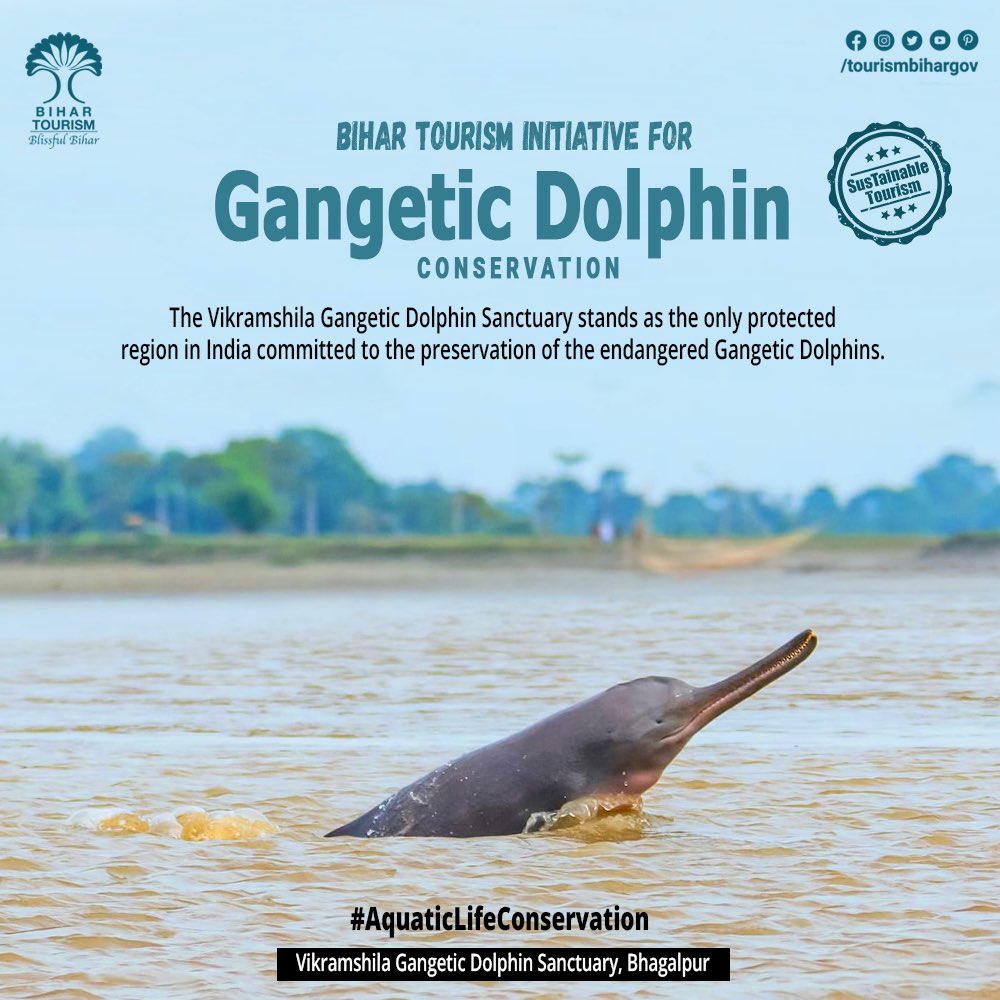 🚨India's 🇮🇳🇮🇳 1st Dolphin🐬🐬 observation centre will be built in Bhagalpur.

🔸This centre will be 4 storeyed, in which an area of 2500 Sq meters will be developed on both sides.

🔸The building to be constructed here will have 2 floors above the bridge &amp; 2 floors below ||1/3||