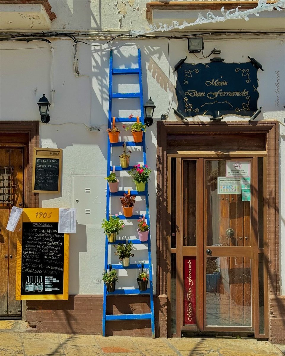 Turi Galbraith tweet media