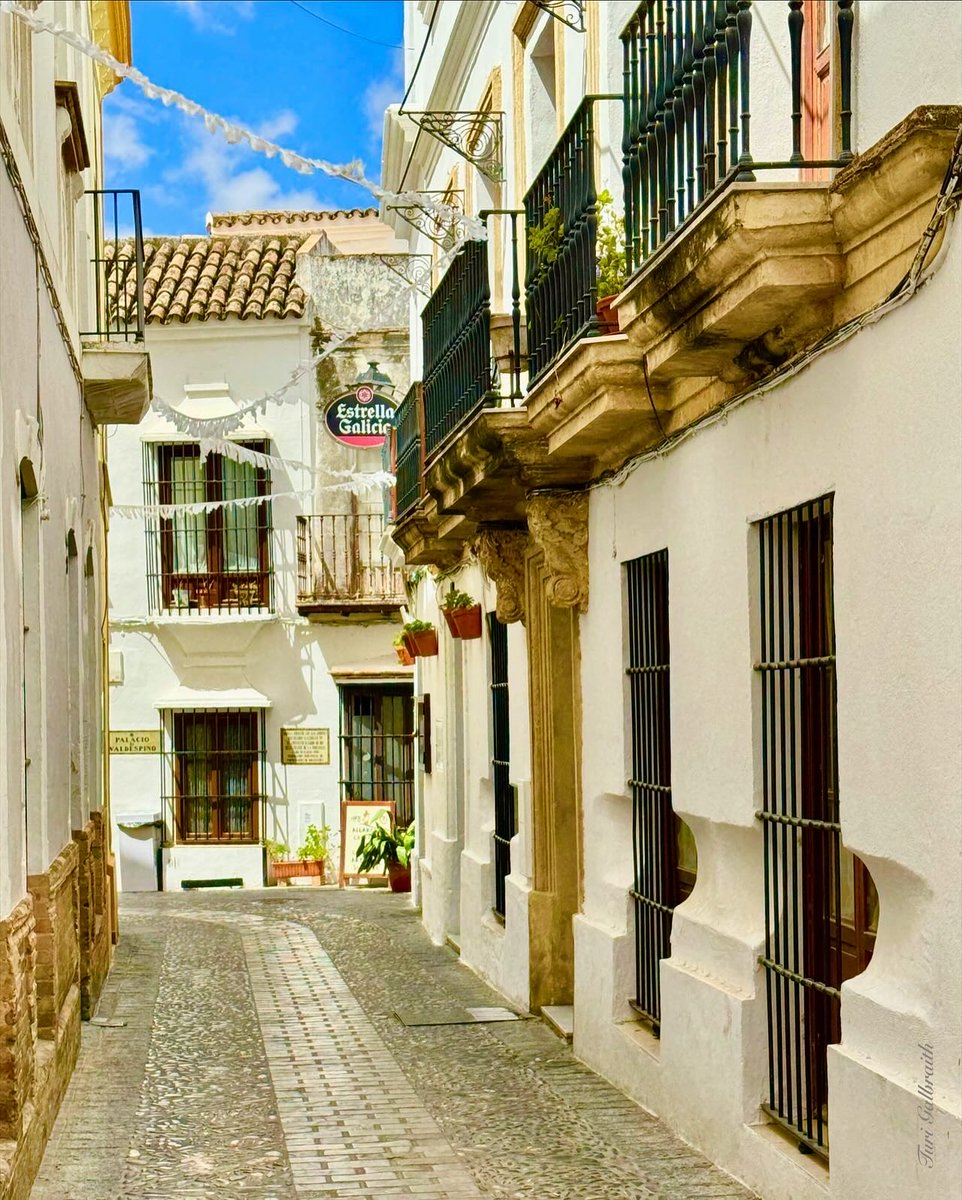 Turi Galbraith tweet media