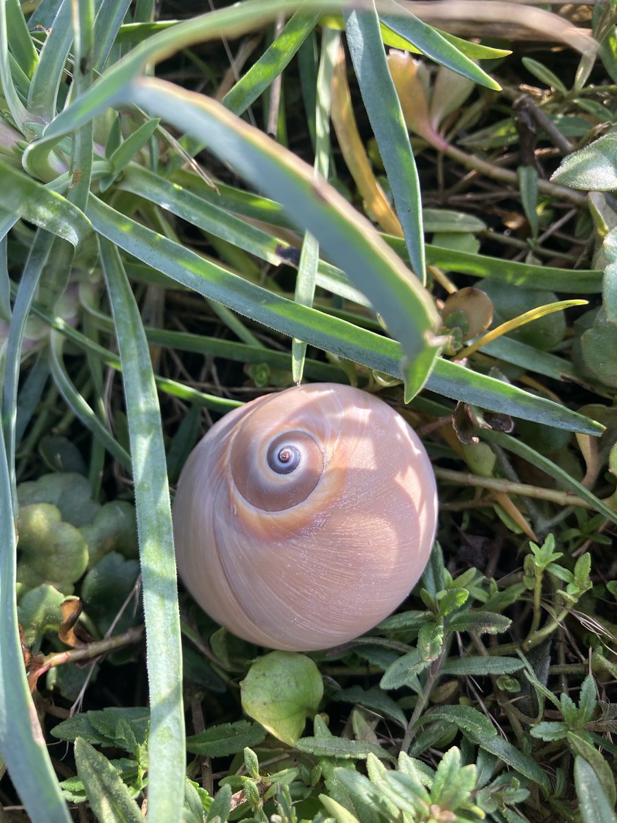 Divný vejce🤔

Fakt divný ⁦<a href="/Tapr20/">Tapír</a>⁩ 🥳