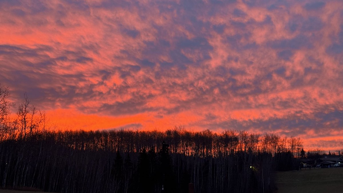 xenomnk's tweet image. 