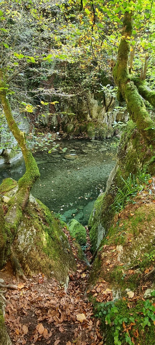 AsierVaderPresley tweet media