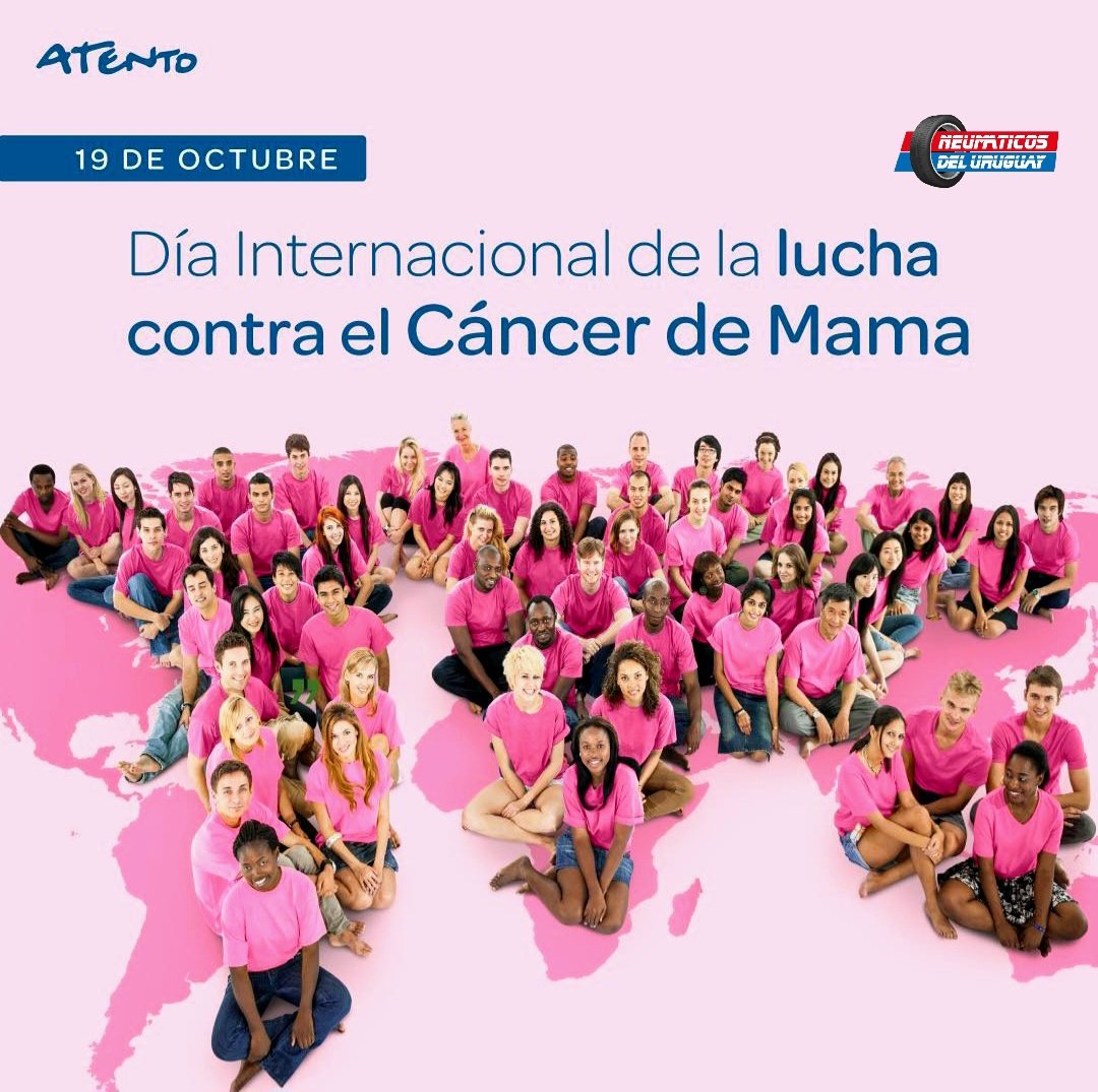 NeumaticosdelU's tweet image. 