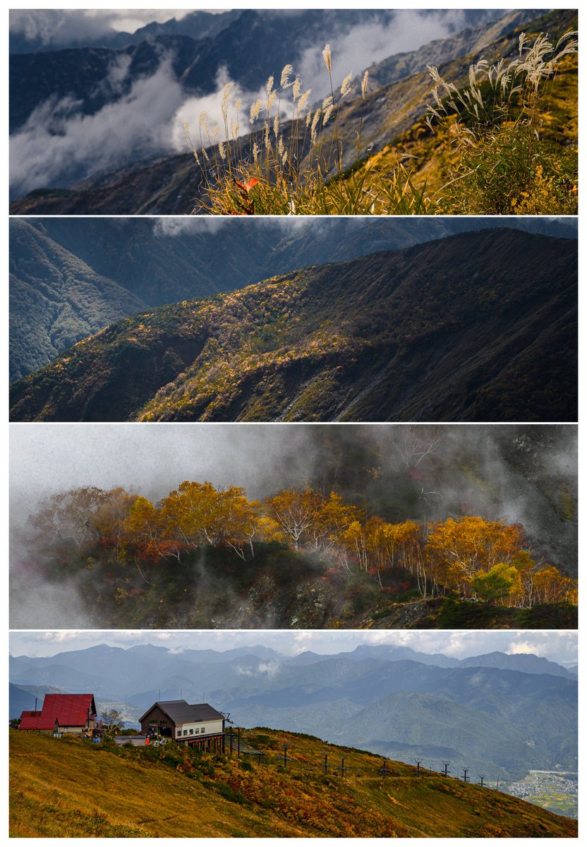 srvmshr's tweet image. I wonder what does it take for @SonyAlpha to spot amateur photographers outside of Instagram (ughh!).
Do they even notice people on other channels? Genuinely curious
