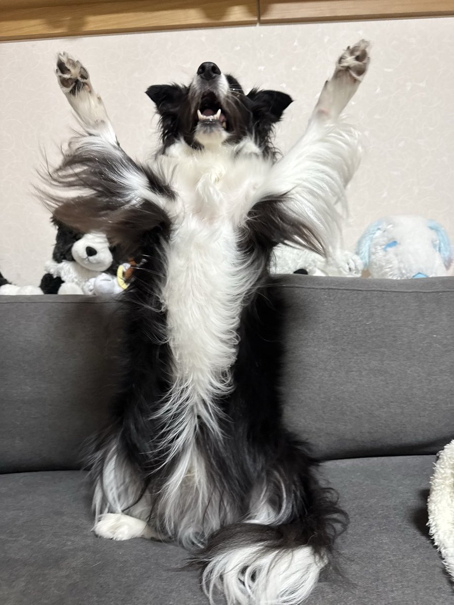 clkkkk2's tweet image. 今日も元気だった