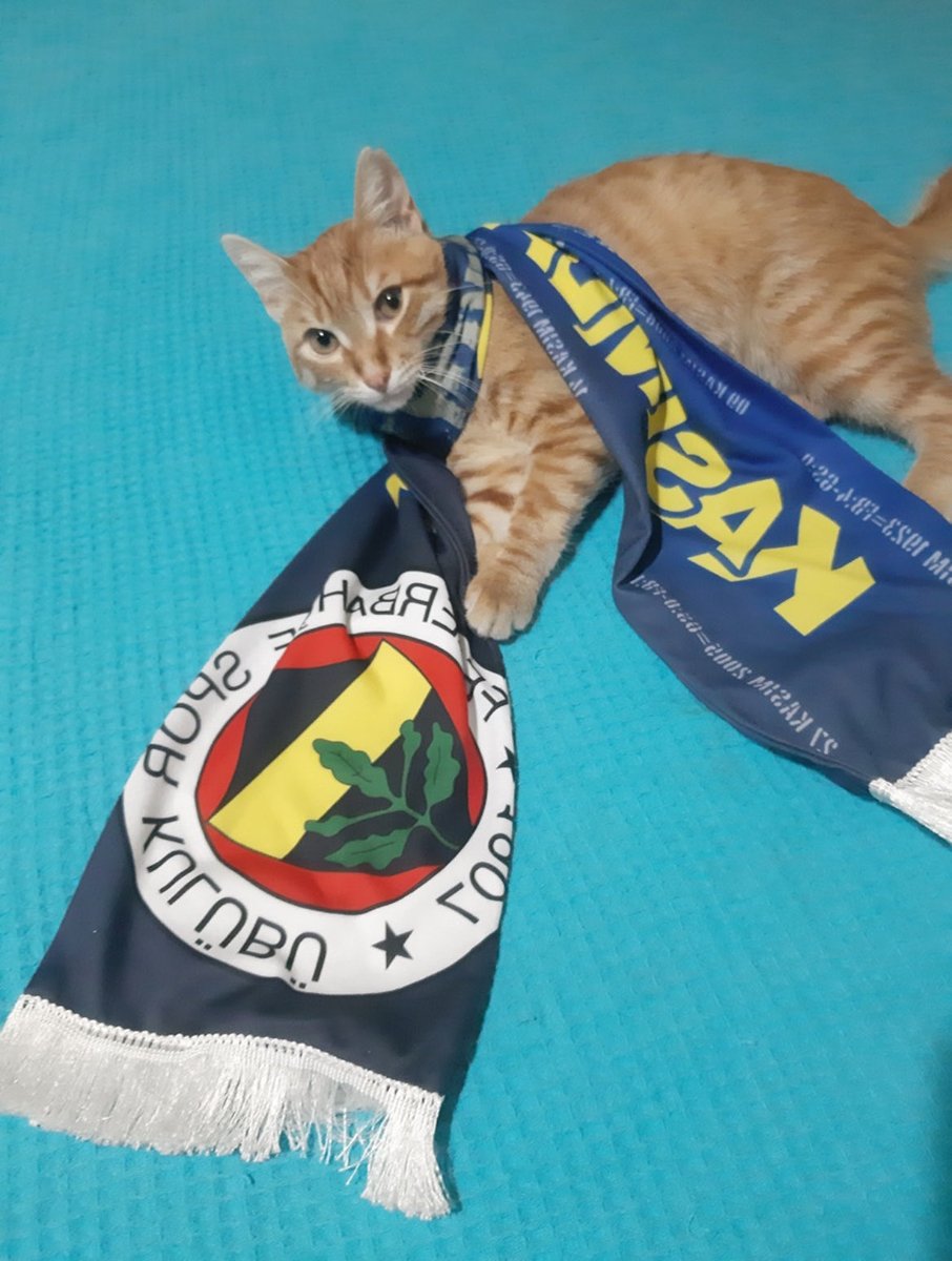 Hep mi ben çekecem biraz da  kendi çeksin #Fenerbahce