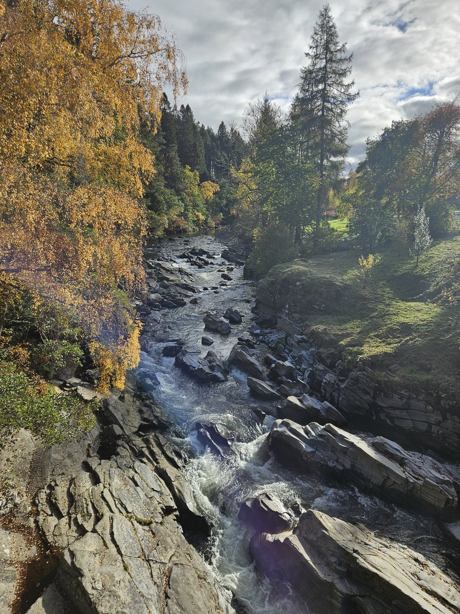 JimmyRyland tweet media