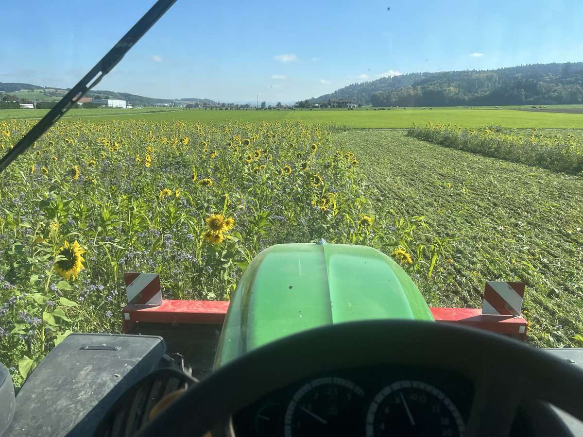 Andreas Indermühle tweet media