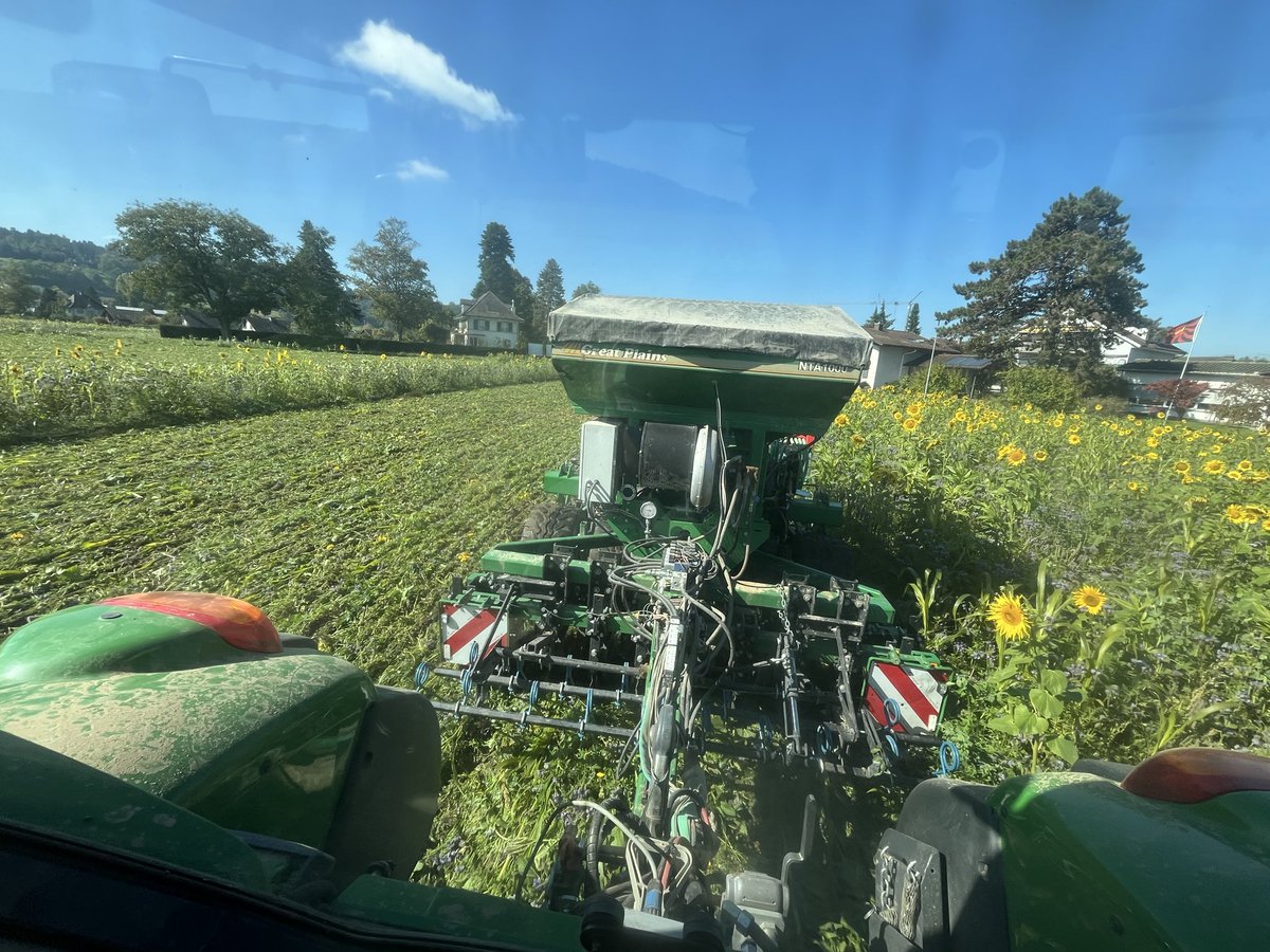 The Art of Ugly Farming