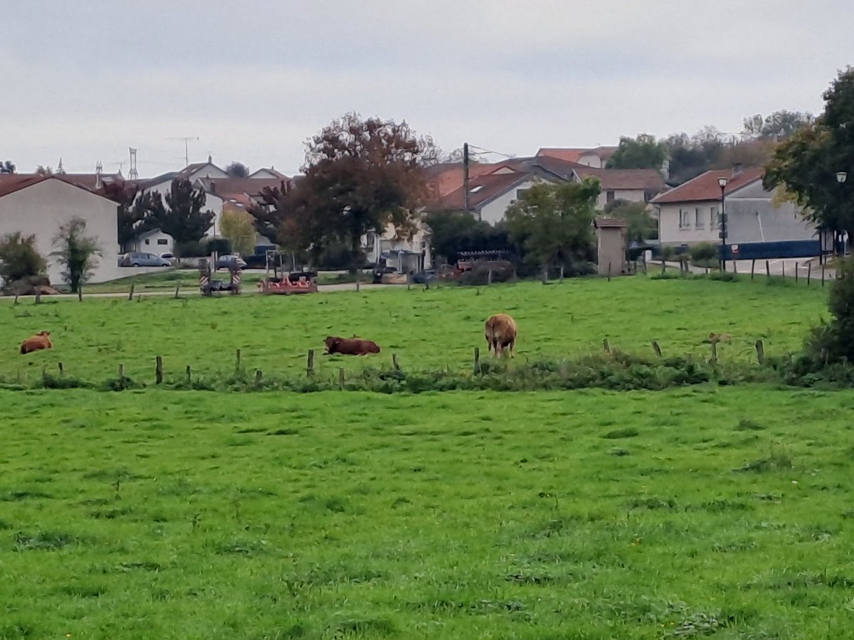 Du running pour observer la magnifique campagne. Magnifique journée.