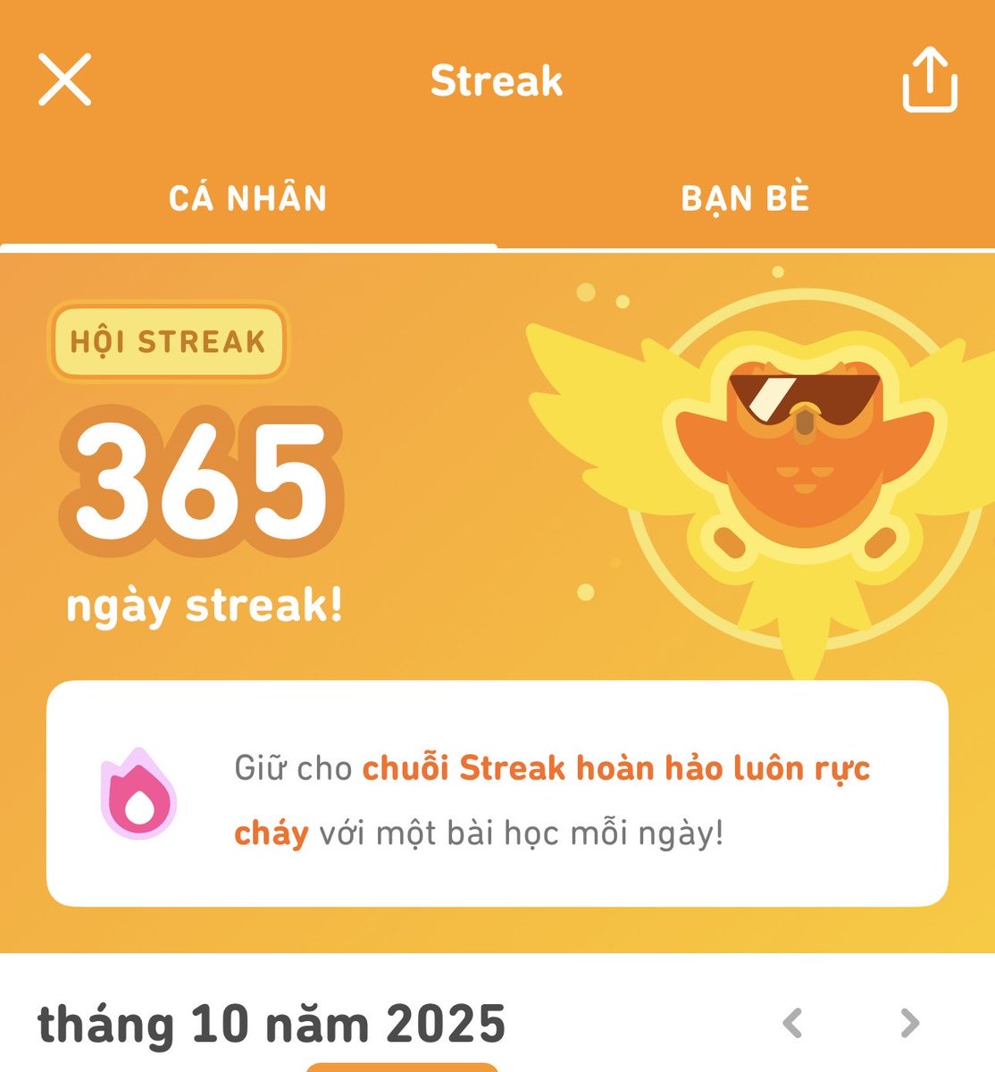 Mỗi ngày mình học 3 bài, trong vòng 10 phút. Không nhiều nhưng mình đã duy trì được 365 ngày liên tục.