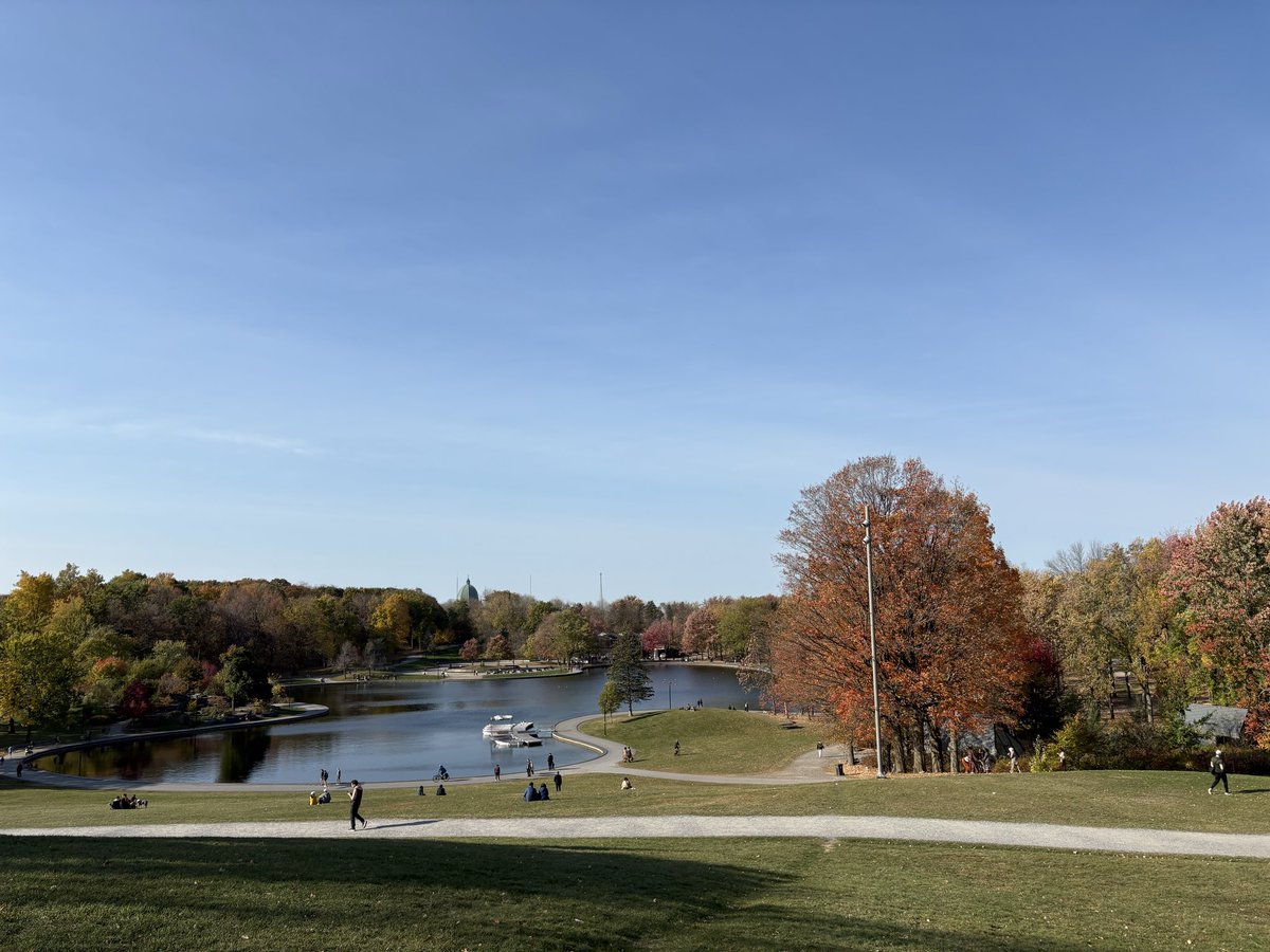 MyMazinLife's tweet image. چیتگر هم قشنگ شده ها