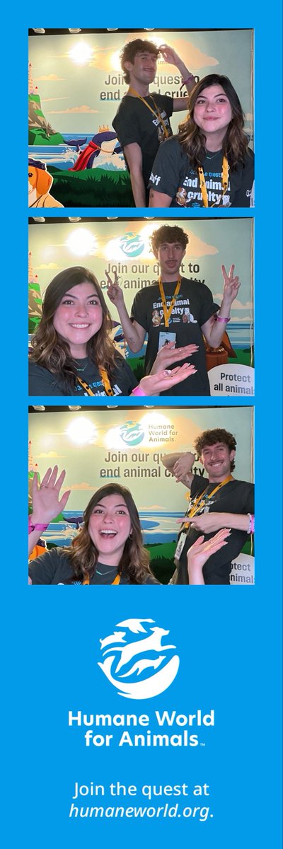 Humane World for Animals Streams tweet media