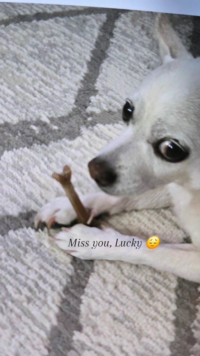 Miss the good days together ❤️ 😪