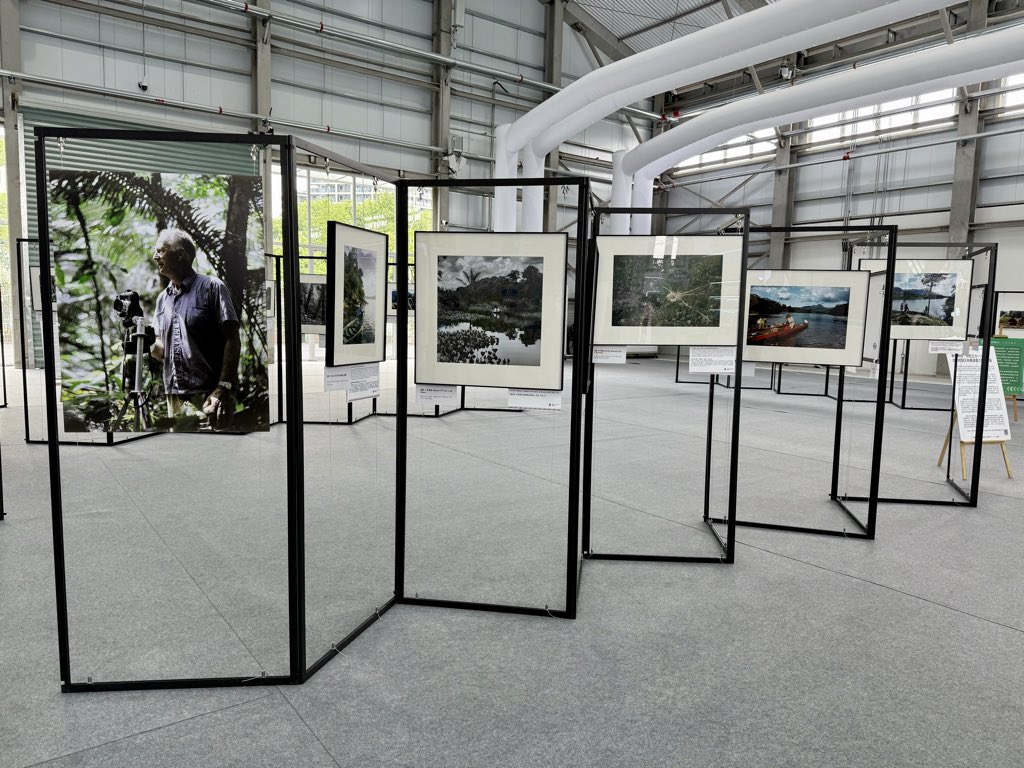 🇧🇪 Belgium &amp; 🇭🇳 Honduras  present “Guardians of the Green”exhibit. @ 2025 Shanghai Sustainable Global Leaders Conf., with pics of tropical rainforests by 🇧🇪 late King Leopold III, a keen photographer.

Belgium believes Int’l coop. is THE answer to tackle environmental challenges.