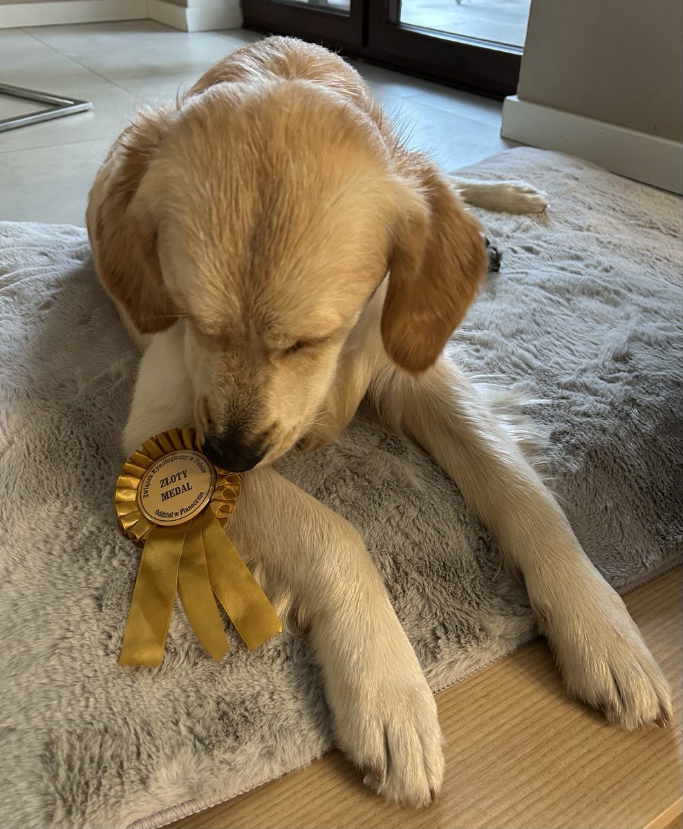 Bogdziewicz_M tweet media