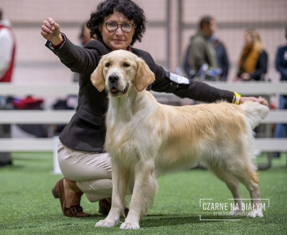 Bogdziewicz_M tweet media