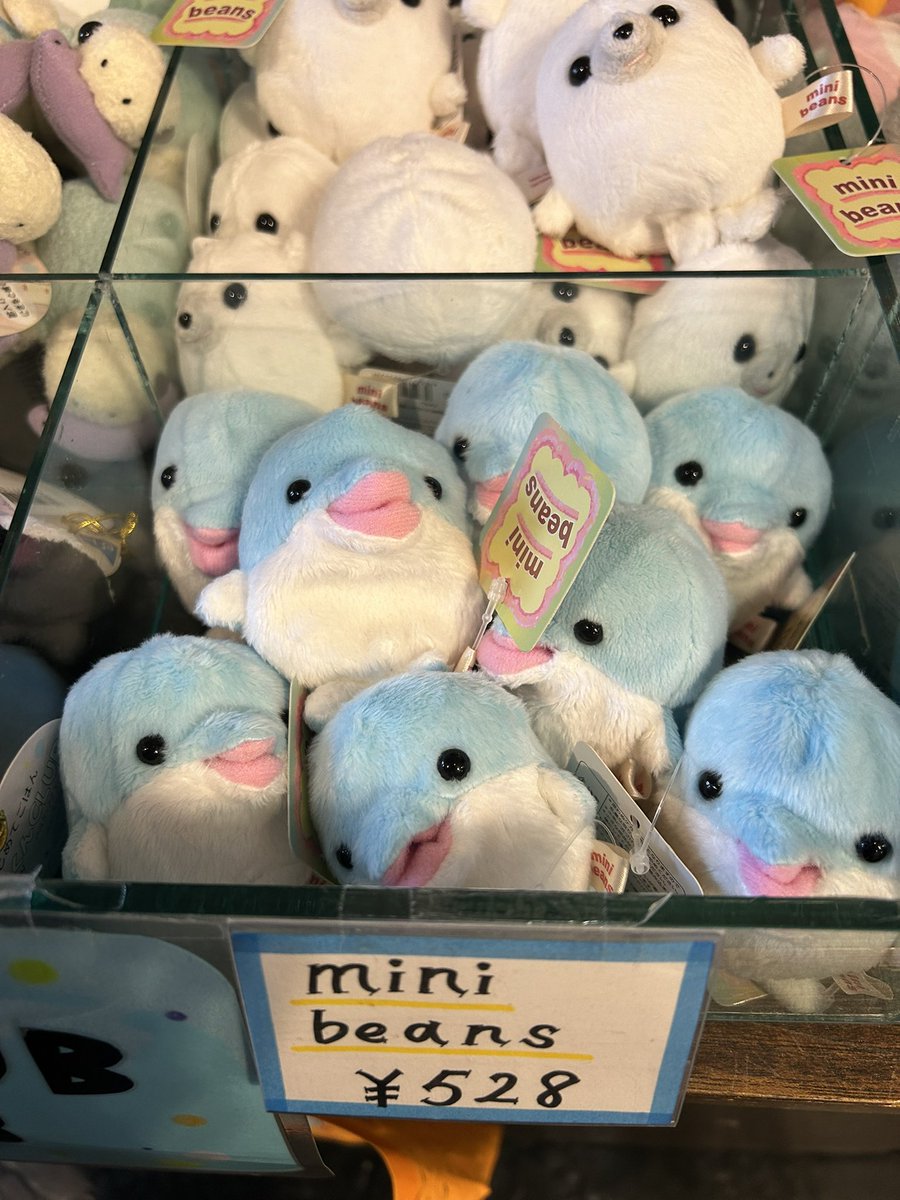 ミニビーンズのイルカちゃん、 いっぱい いるね…🐬 どの子をおむかえ