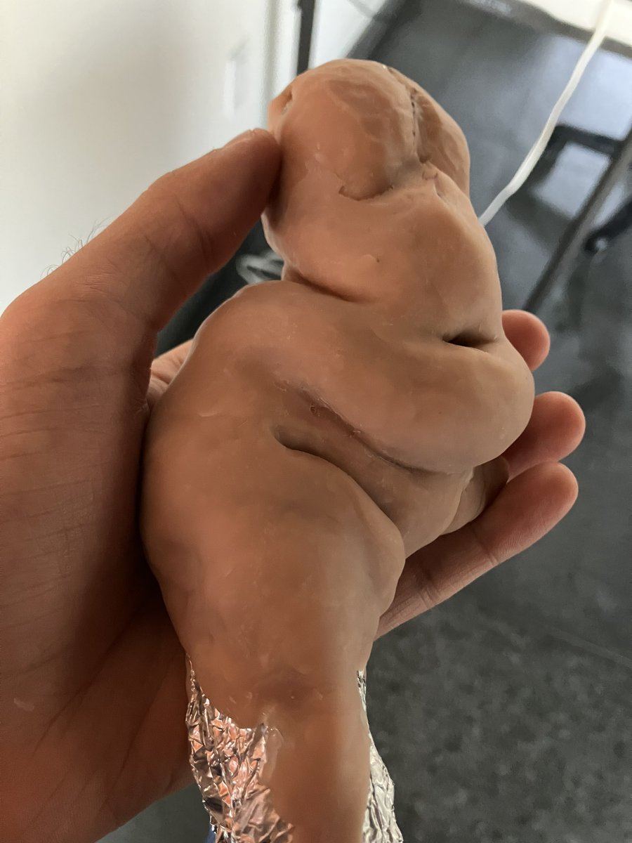 Smashmat FWA🇲🇽 𓃹(on bsky)🔞 tweet media