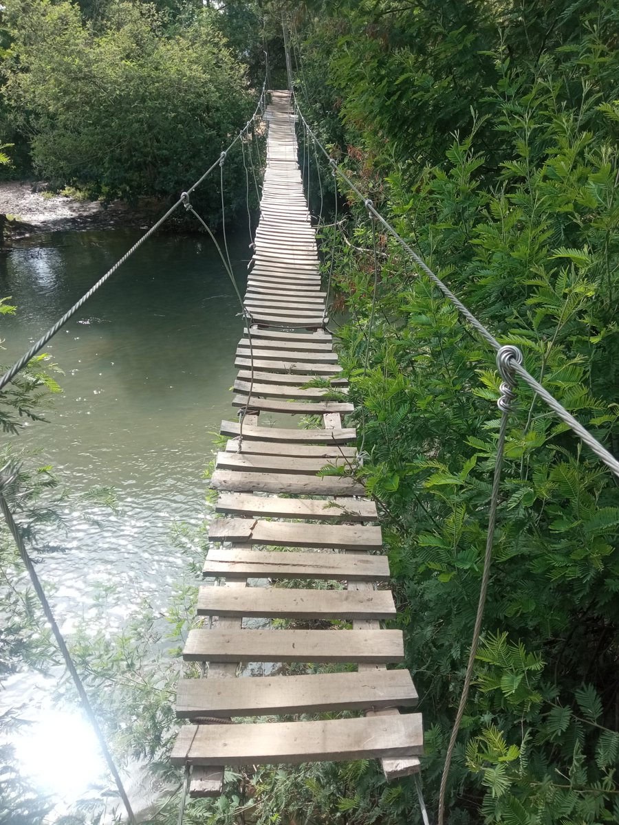 Manungo6's tweet photo. Puente de cimbra sobre el río putagan.Maule.
Sólo para valientes.
Buen domingo! https://t.co/HyynAstf0d