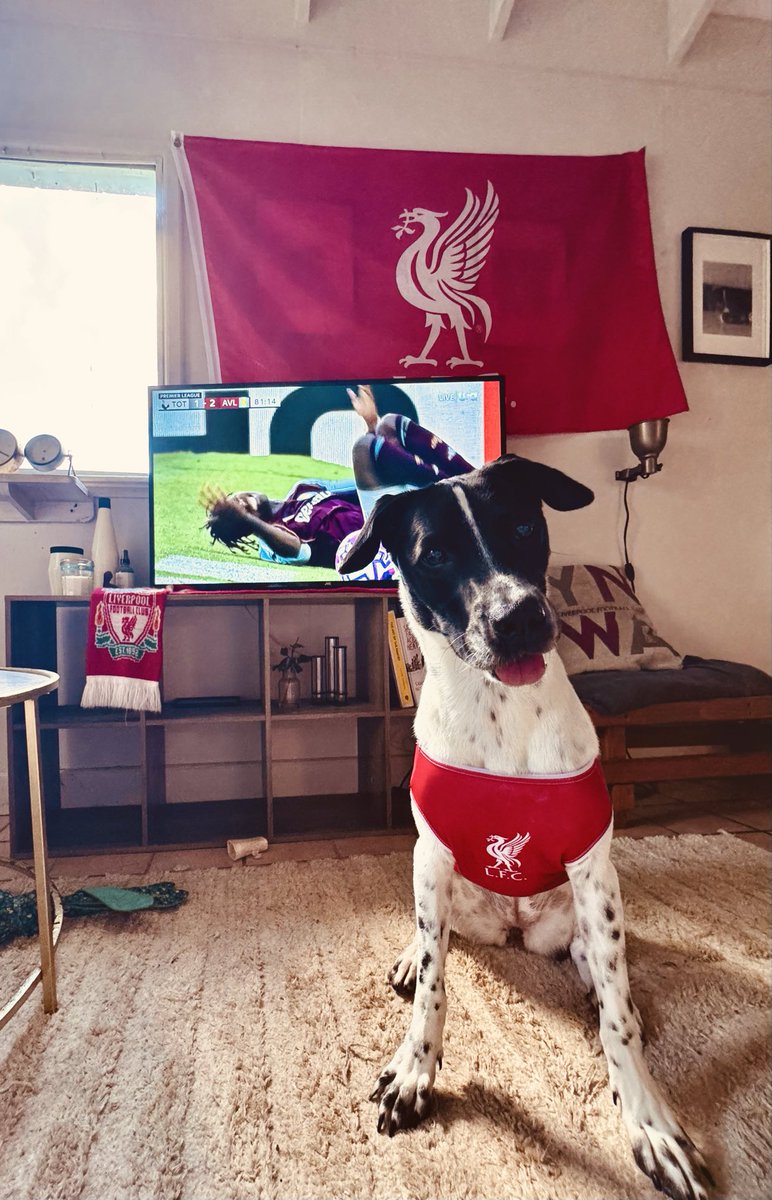 Paisley’s ready for a Liverpool win! #MyPLMorning