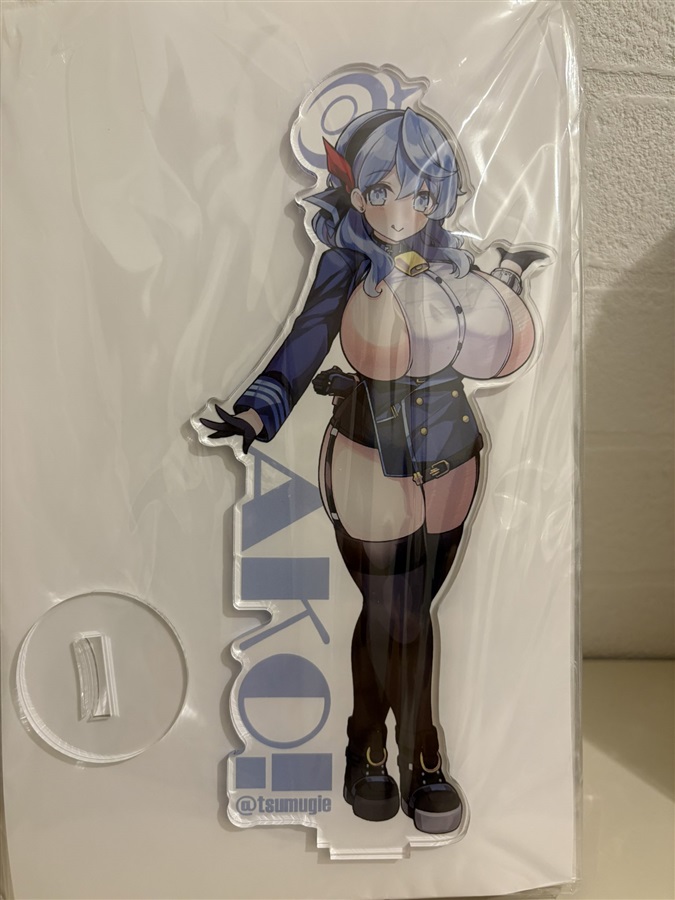 夏コミ新作アコアクスタ、メロン実店舗にも置いてもらってるみたいです!11月のせんなごにも持っていきます。
【SD】https://t.co/QadIh75njq
【BIG】https://t.co/CsPPBQTcAp 