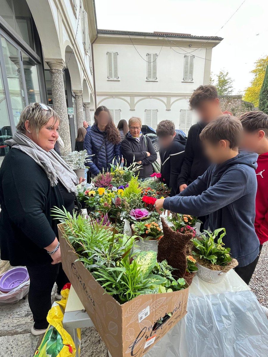 Comune di Castiglione Olona tweet media