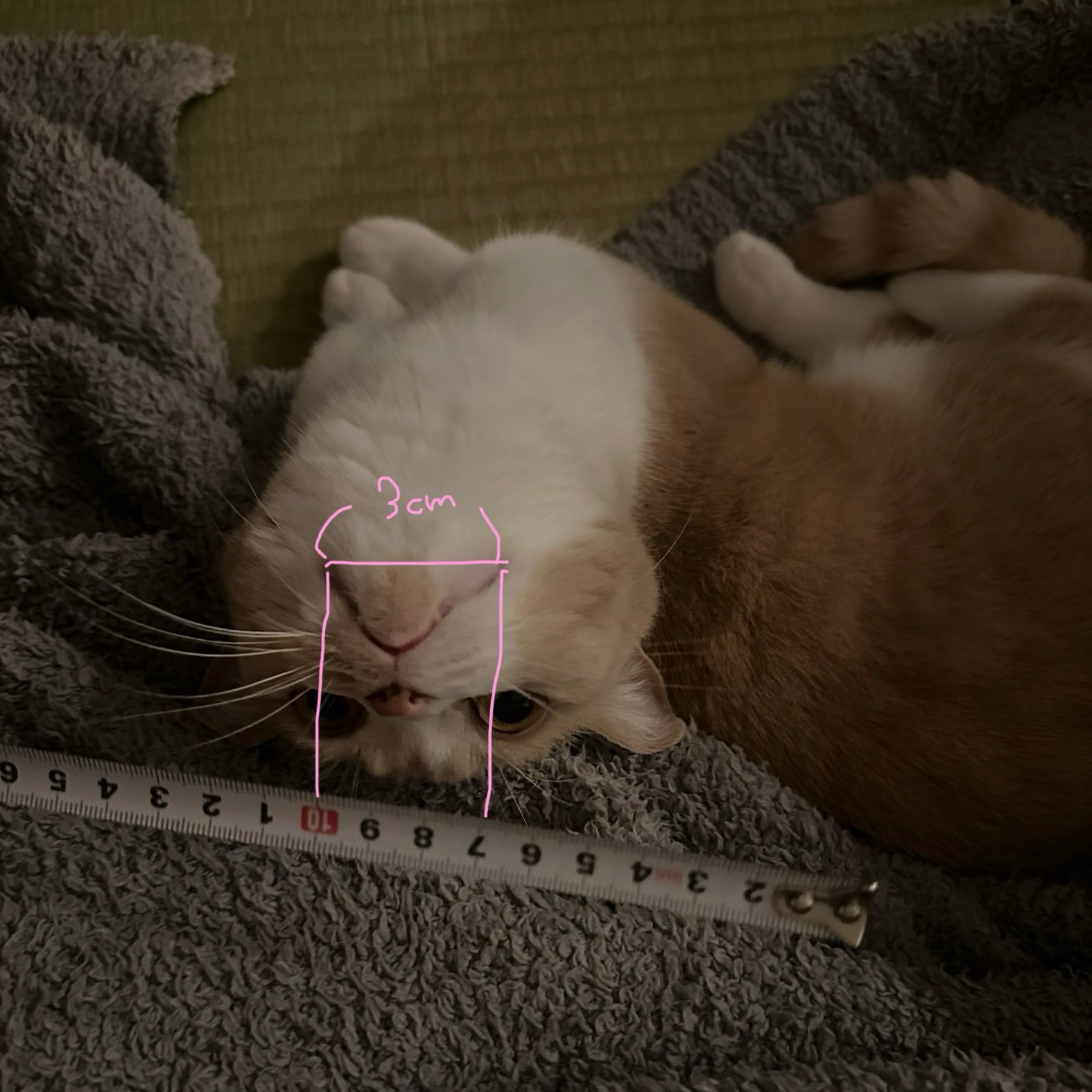 【松さま専用】ずとまよ ZUTOMAYO – Kimigaite Mizuninaru (SPICEEZ ver.) - YouTube