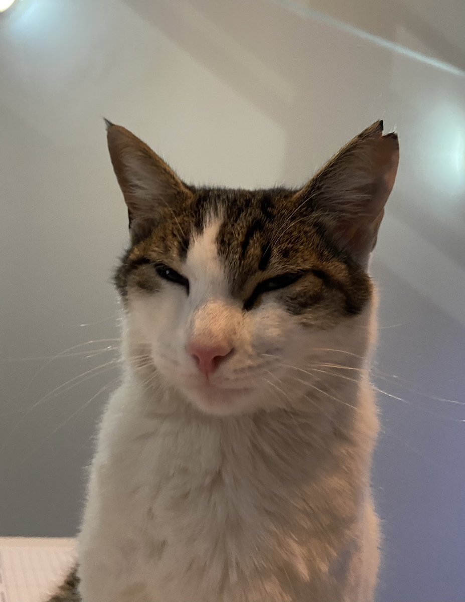 Eski kulağı kesiklerden…