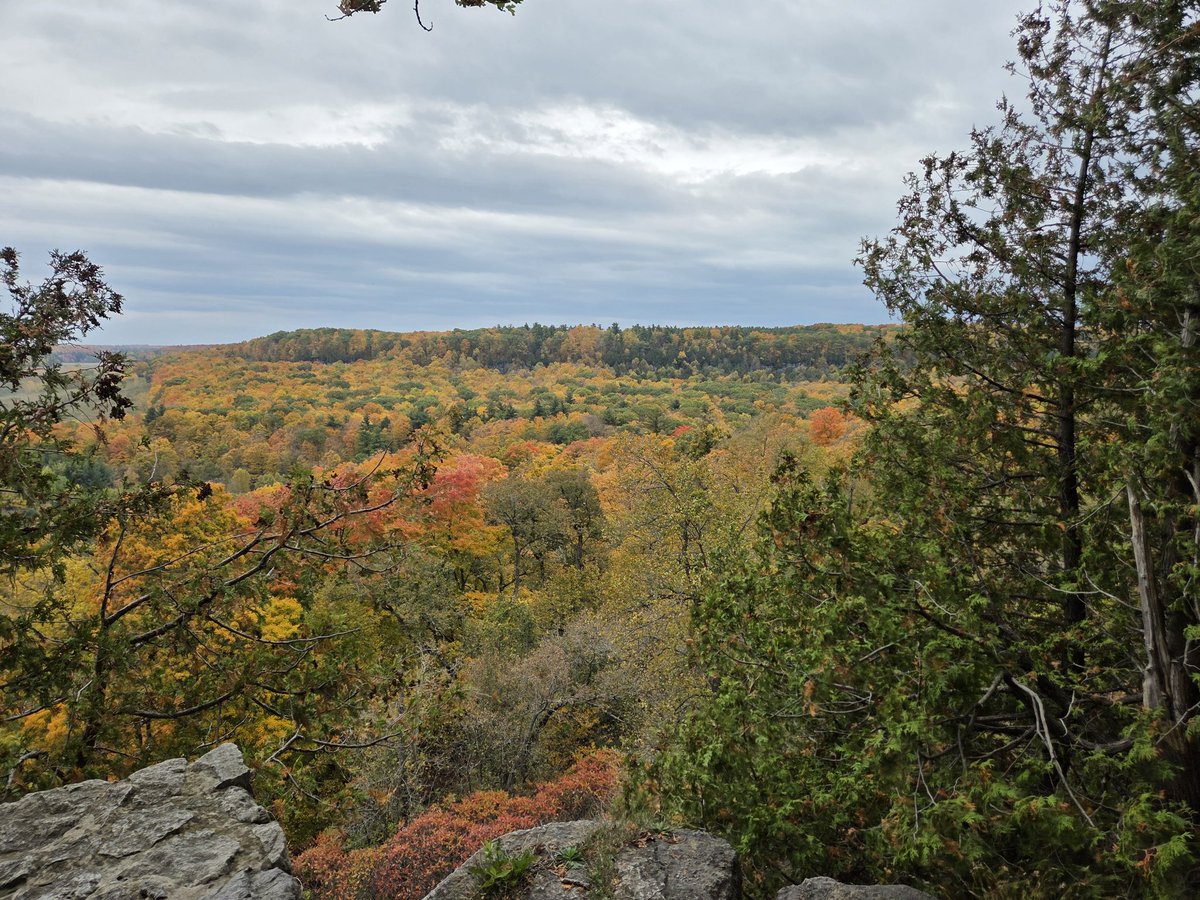 We are so lucky with the weather and colors so far 🇨🇦😍 <a href="/Arcais_Panda/">✧Arcais ✧ 🔜 CFZ</a> <a href="/TheSwede__/">Alvin (Archie)</a>