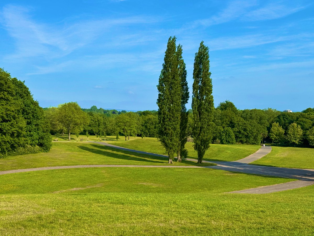 jjmmli's tweet image. A breath of green. This is my kind of calm. Let me see yours 💚