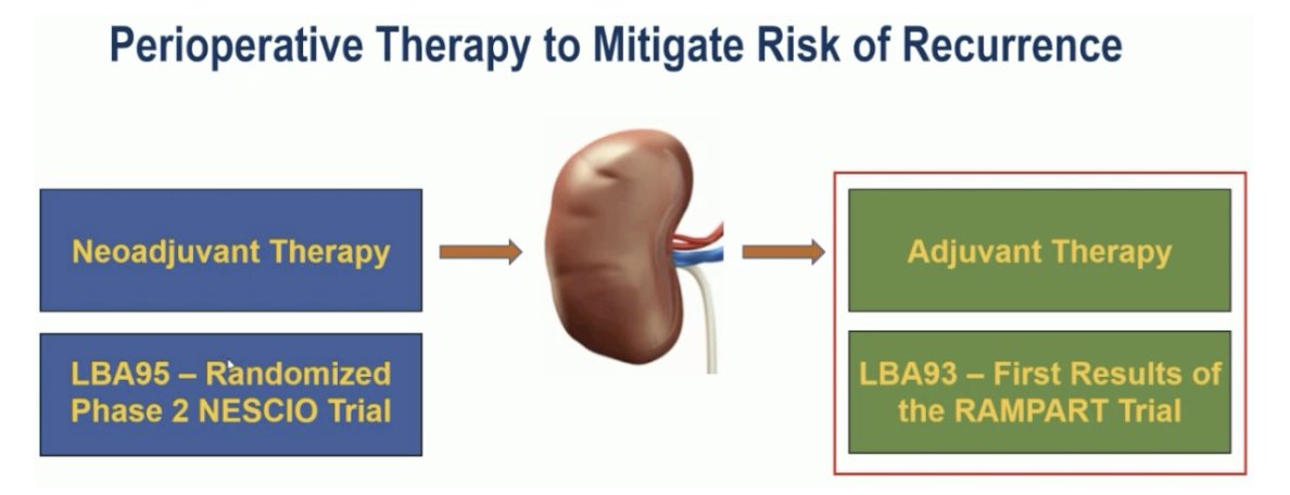 urotoday's tweet photo. Perioperative immunotherapy strategies in #RCC: Evidence from the #RAMPART and #NESCIO trials. #InvitedDiscussant presentation by @DrRanaMcKay @UCSanDiego. #ESMO25 written coverage by @RKSayyid @UAUrology > https://t.co/P6uhxqwSP4 @myESMO https://t.co/ffxeUAUsh4