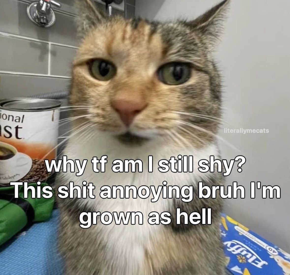 northstardoll's tweet image. 