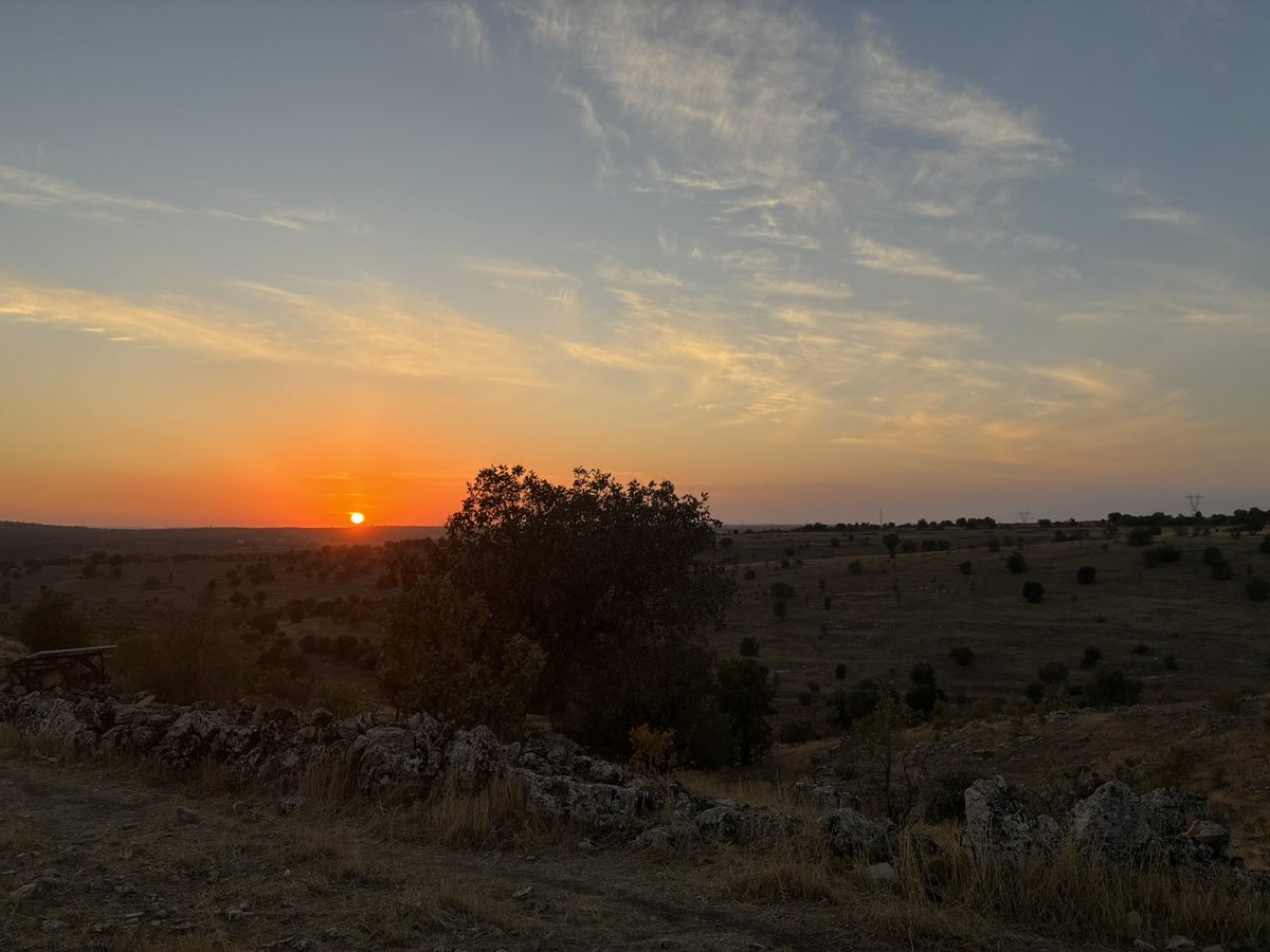 kamuranakyz's tweet photo. #Nusaybin #Omerya https://t.co/bCBqnUl9Vx