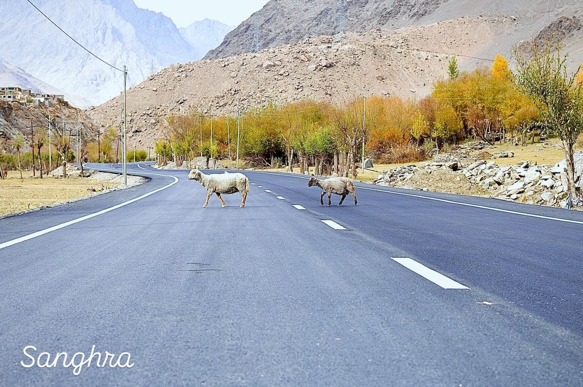 Tourism Department Kargil tweet media
