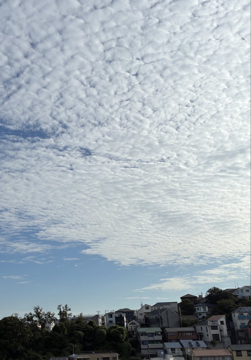 蒼海29号届いてます。編集部の皆さまありがとうございます。
「おめでとうございます」が沢山の号、心の中であちこちに拍手。

だけどやっぱり、四十九士さんの句を見ると淋しい。もっとお話ししたかったよー。やさしくしてくれてありがとうございましたー！（心の中で大きく手を振る）