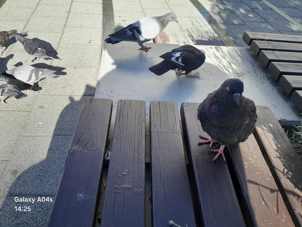 Tweet media one