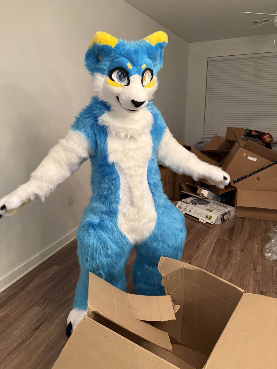 shimionline's tweet photo. The @ScalingThePaw experience:

Pay the agreed upon price

He begins work as soon as payment is processed

I get constant updates and wips the entire time with plenty of revisions

I receive the fursuit with a *free* head bag

I love my fursuit and my maker

🦈🐱 https://t.co/81X933om3u