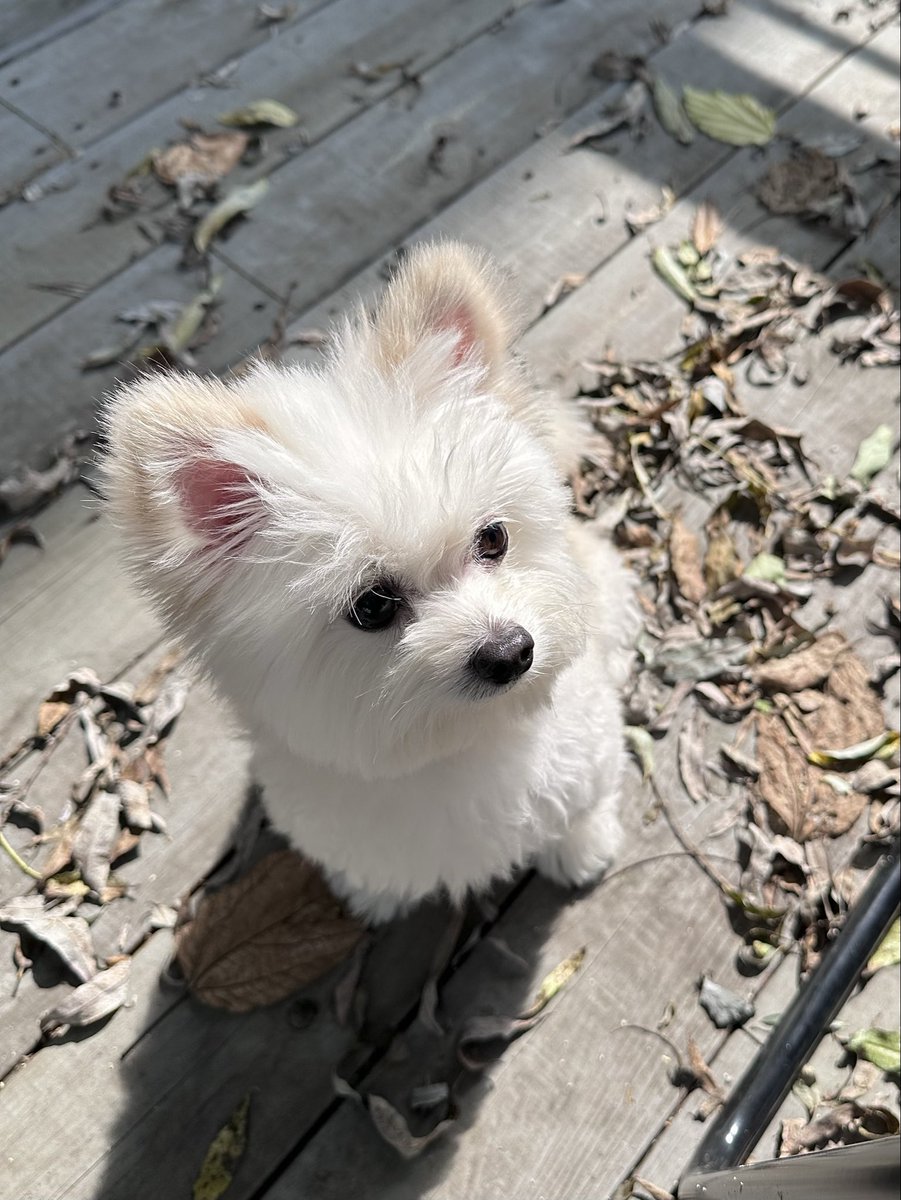 가을이었ㄷㅏ...