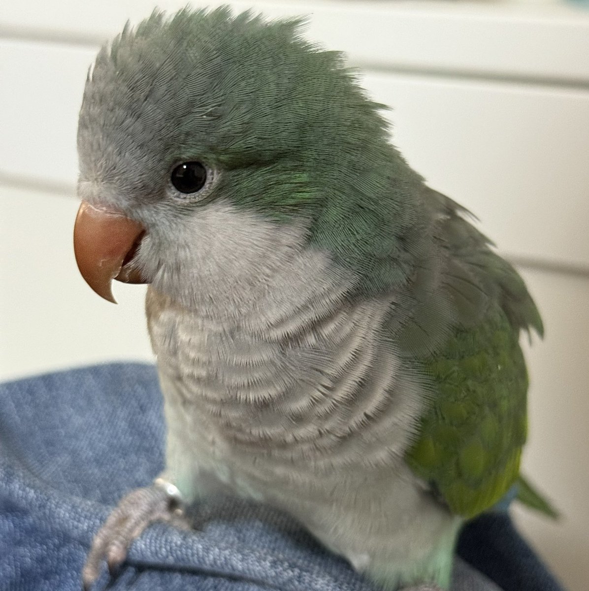 jamedeamas's tweet image. 🤍🤍