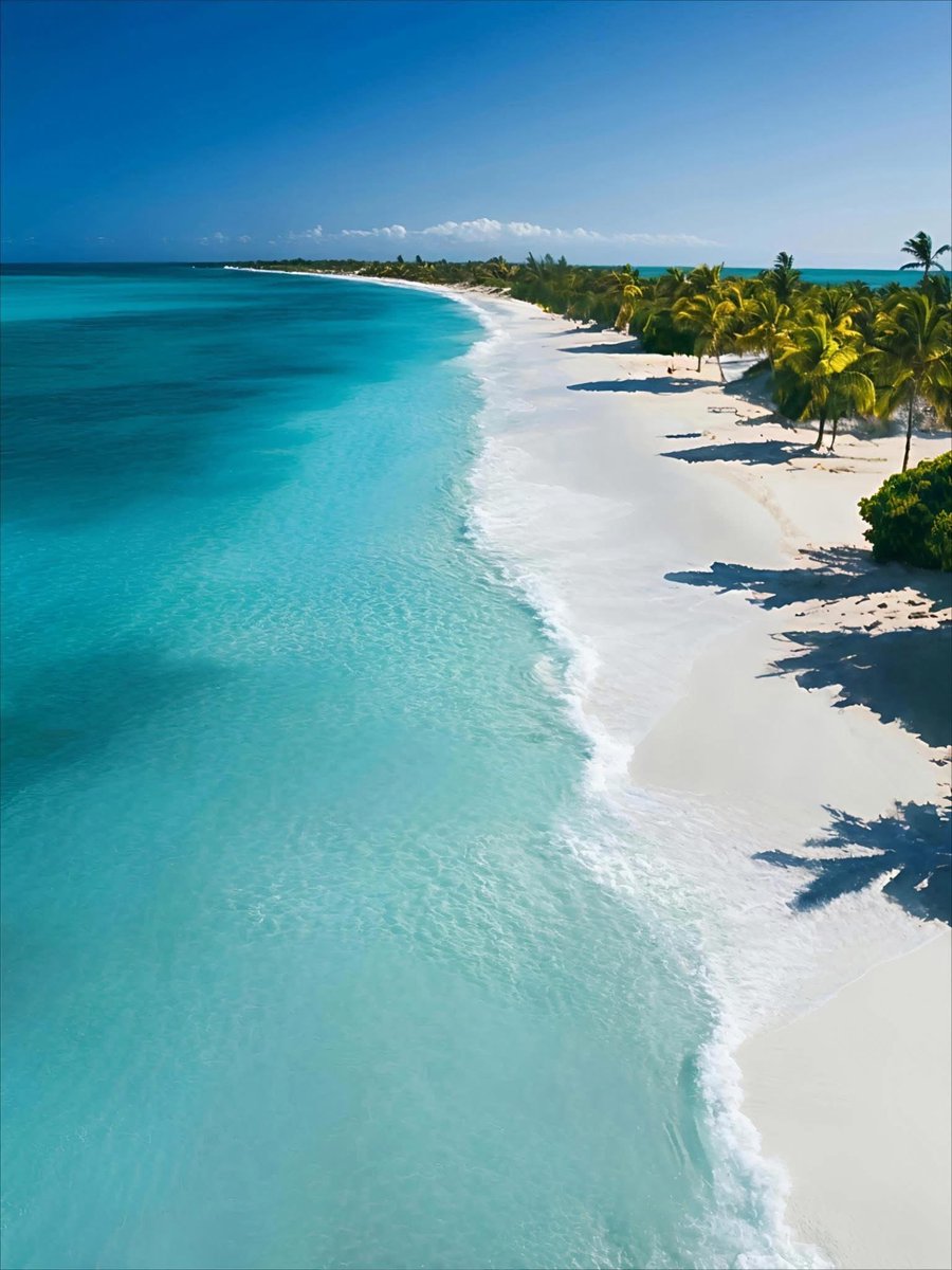 Mysterious Earth (@naturalble91542) on Twitter photo 