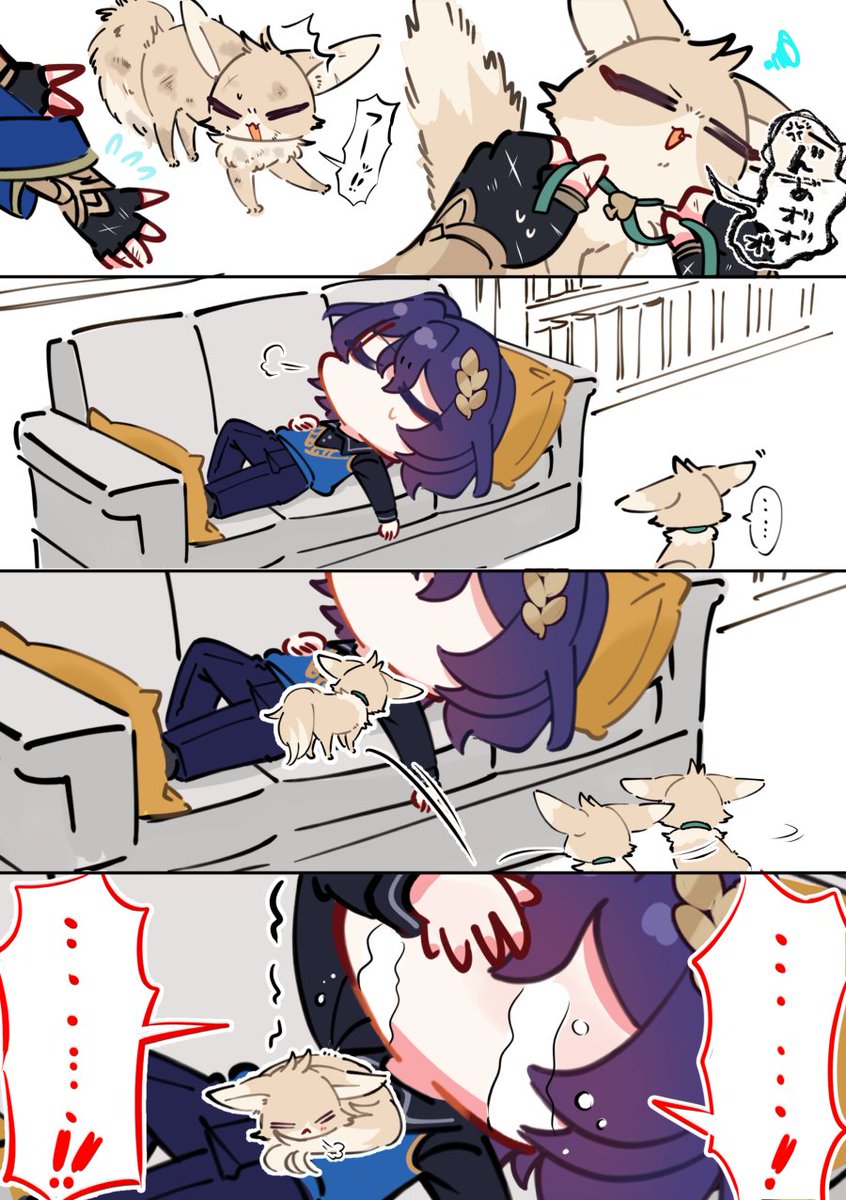 #ratiorine 保護〜懐き始めねこち