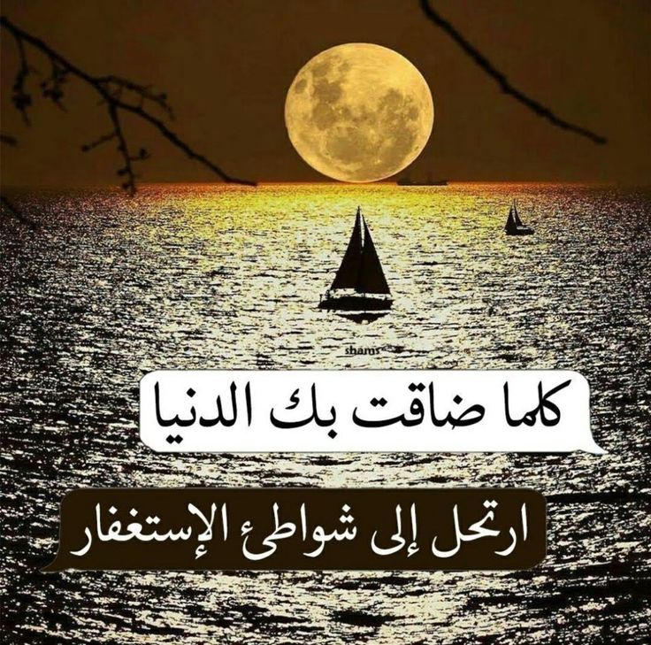 #الاستغفار_نجاه_و_حياه_القلوب